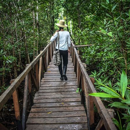 Jardin Botanico Del Pacifico Y Mecana Ecohotel Bahia Solano Eksteriør billede