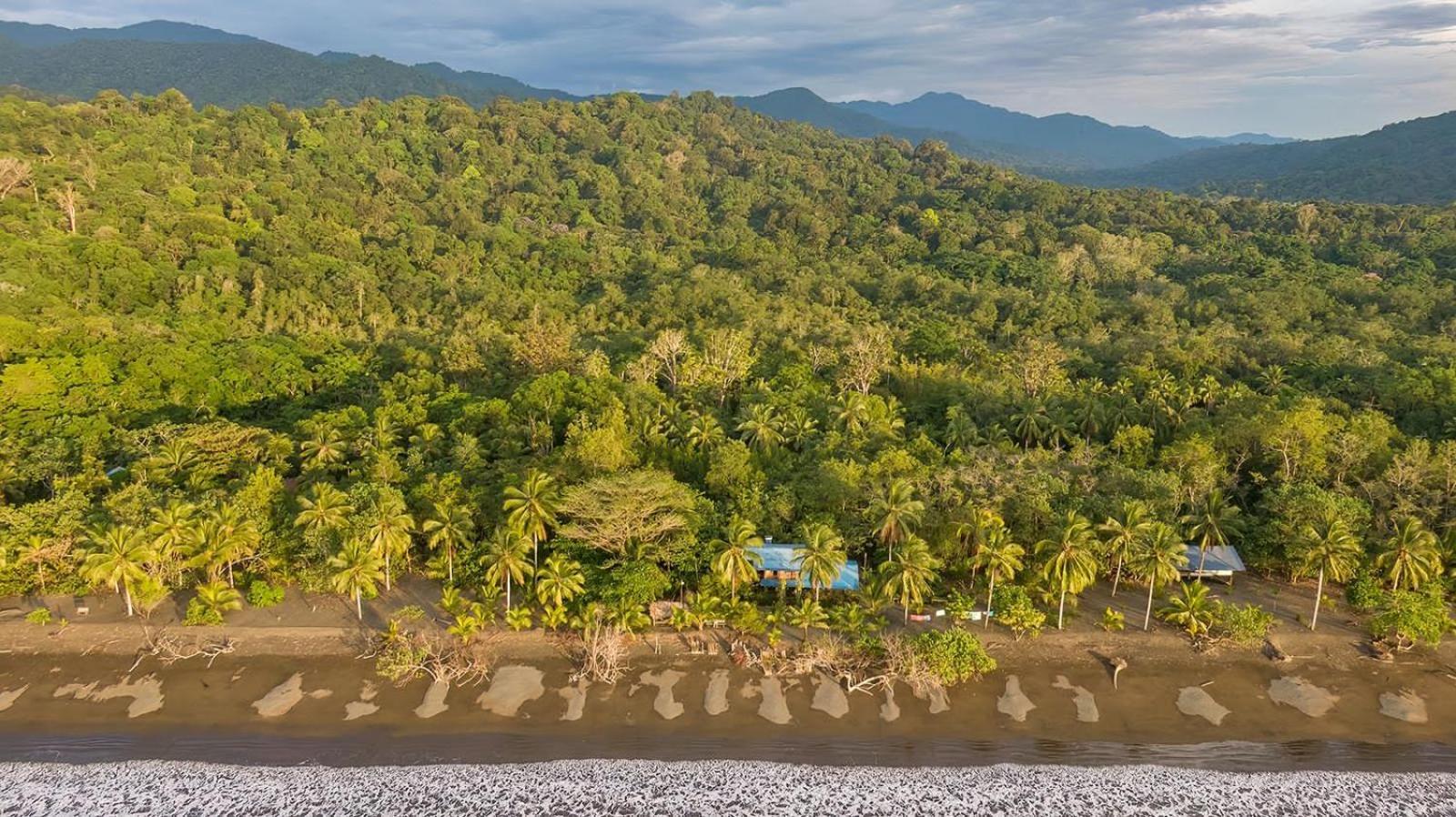 Jardin Botanico Del Pacifico Y Mecana Ecohotel Bahia Solano Eksteriør billede