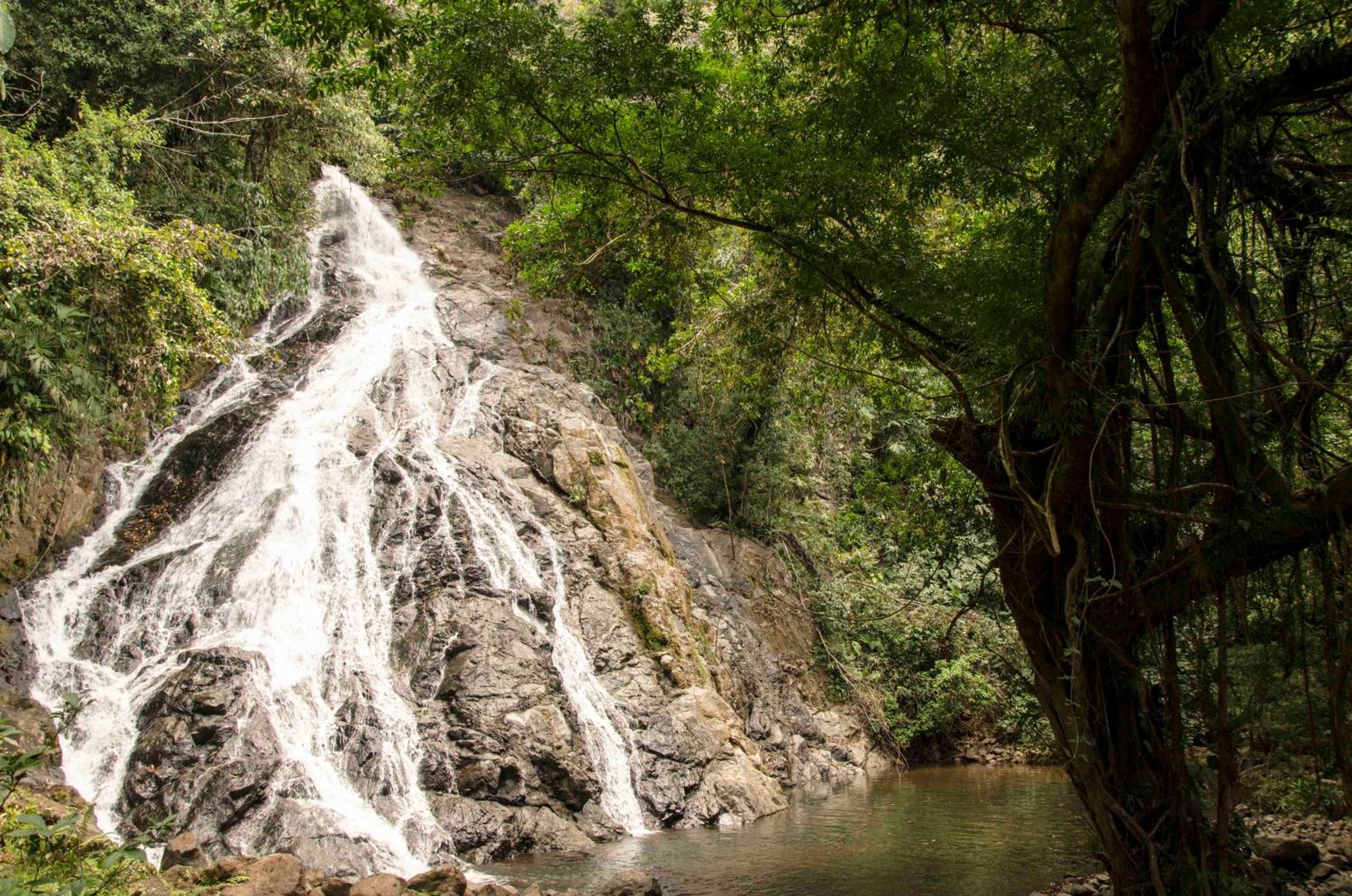 Jardin Botanico Del Pacifico Y Mecana Ecohotel Bahia Solano Eksteriør billede