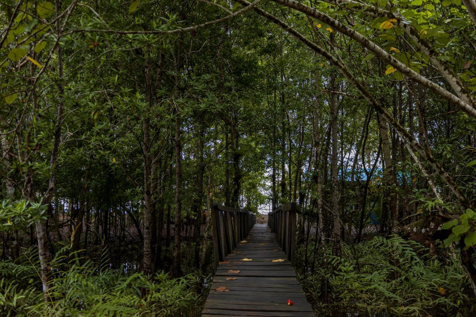 Jardin Botanico Del Pacifico Y Mecana Ecohotel Bahia Solano Eksteriør billede