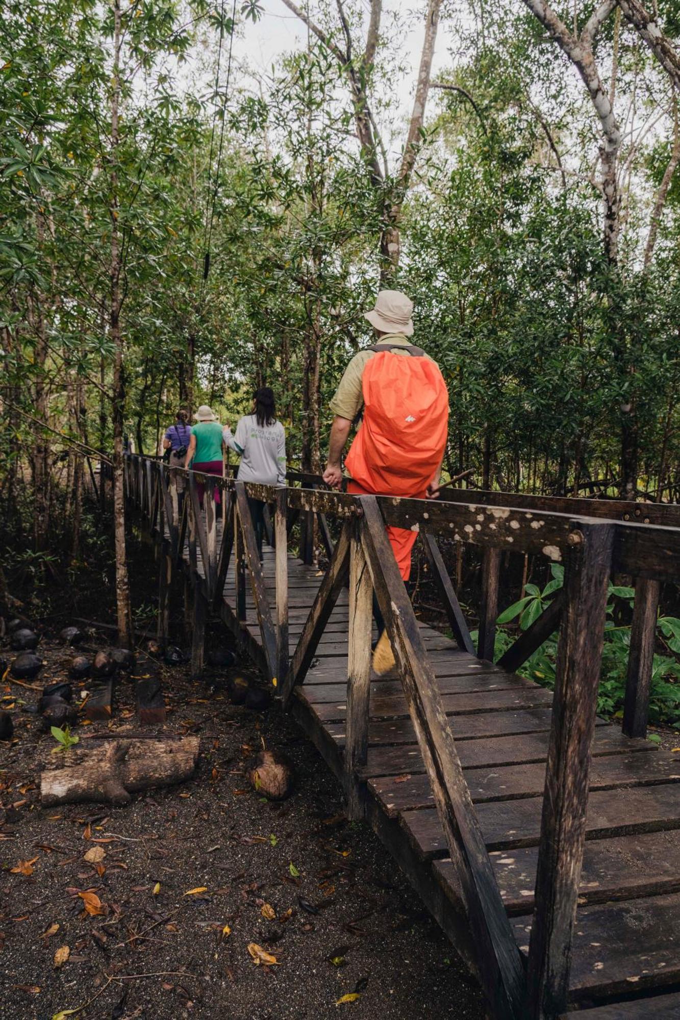 Jardin Botanico Del Pacifico Y Mecana Ecohotel Bahia Solano Eksteriør billede