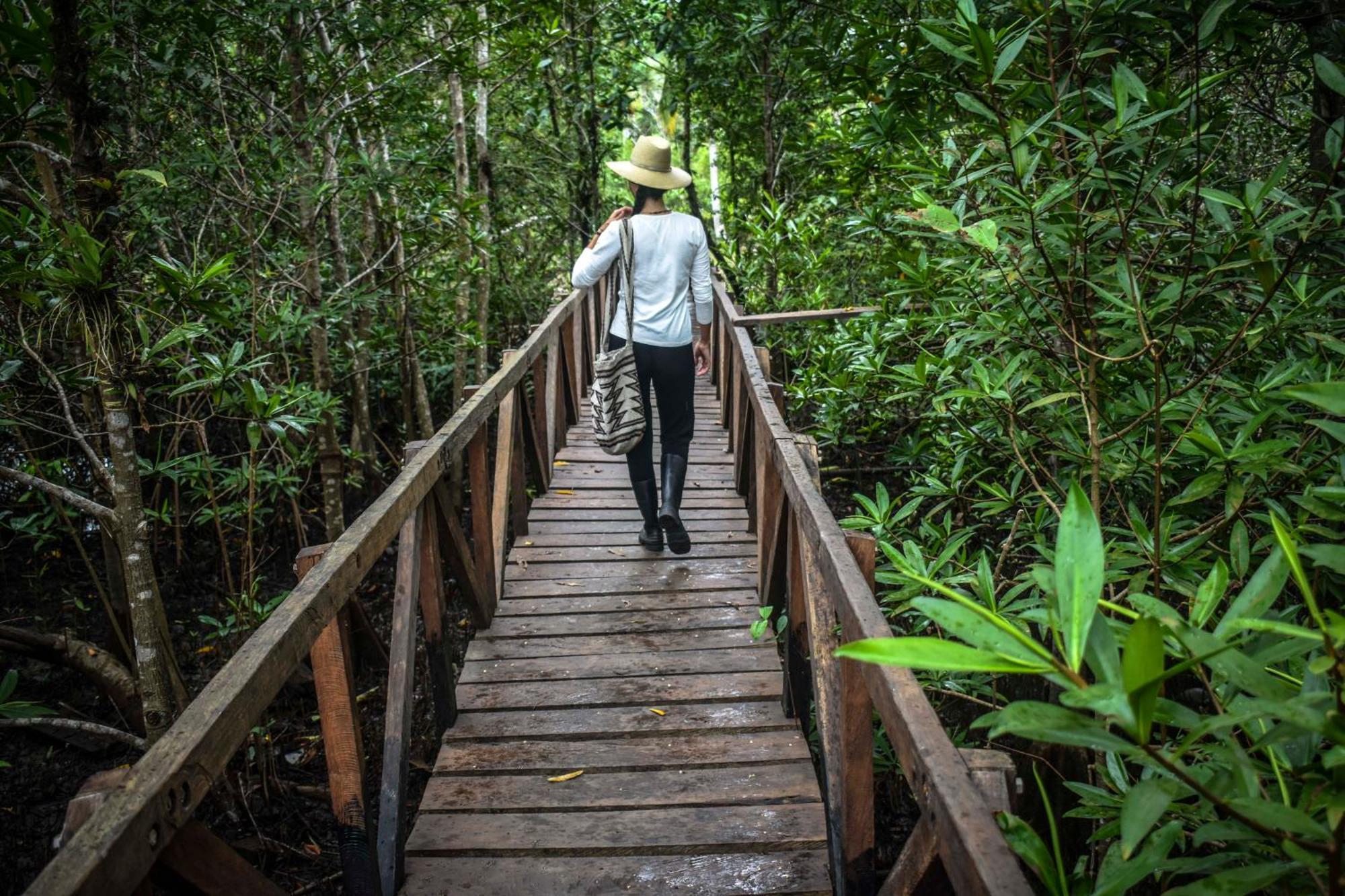 Jardin Botanico Del Pacifico Y Mecana Ecohotel Bahia Solano Eksteriør billede