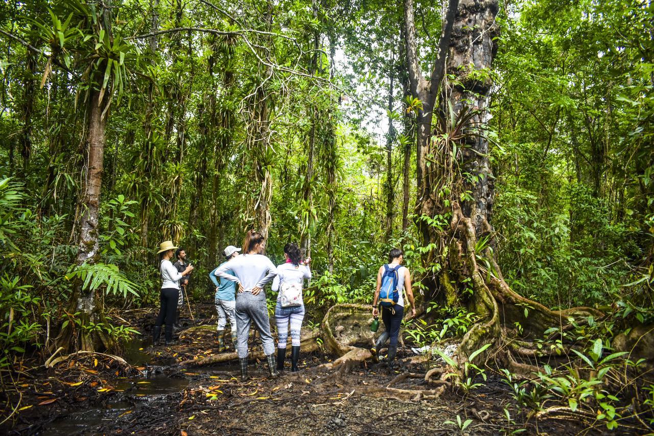 Jardin Botanico Del Pacifico Y Mecana Ecohotel Bahia Solano Eksteriør billede