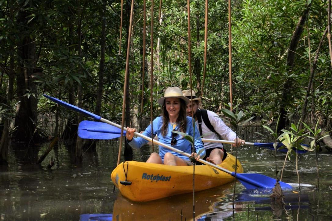 Jardin Botanico Del Pacifico Y Mecana Ecohotel Bahia Solano Eksteriør billede